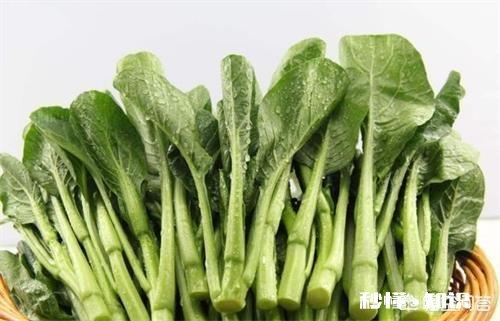 兔子拉黄稀怎么回事，小兔子拉黄稀