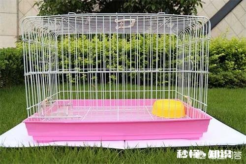 兔子拉黄稀怎么回事，小兔子拉黄稀