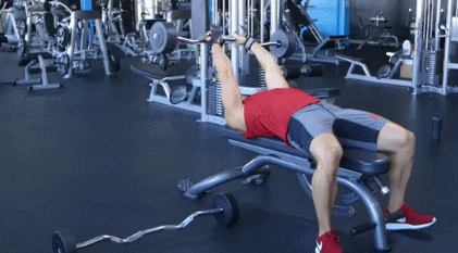 女生健身房练手臂的动作有哪些