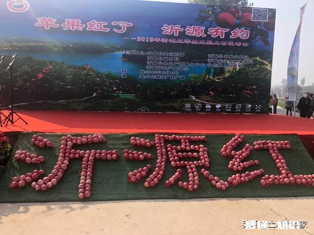 不用化肥、不用农药能不能种好果树