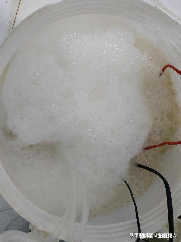 不用化肥、不用农药能不能种好果树