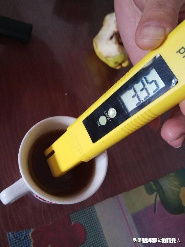 不用化肥、不用农药能不能种好果树