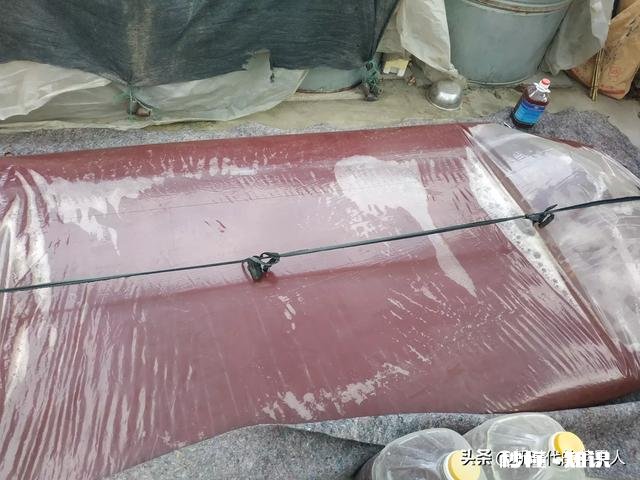 不用化肥、不用农药能不能种好果树