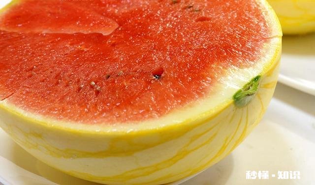 黄皮红心西瓜种哪里有有何种植技巧呢