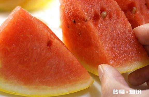 黄皮红心西瓜种哪里有有何种植技巧呢