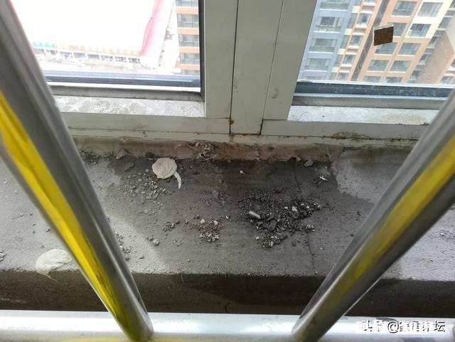 这是墙体渗水还是窗户渗水