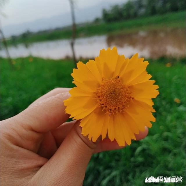 简单的生活是幸福还是不幸福