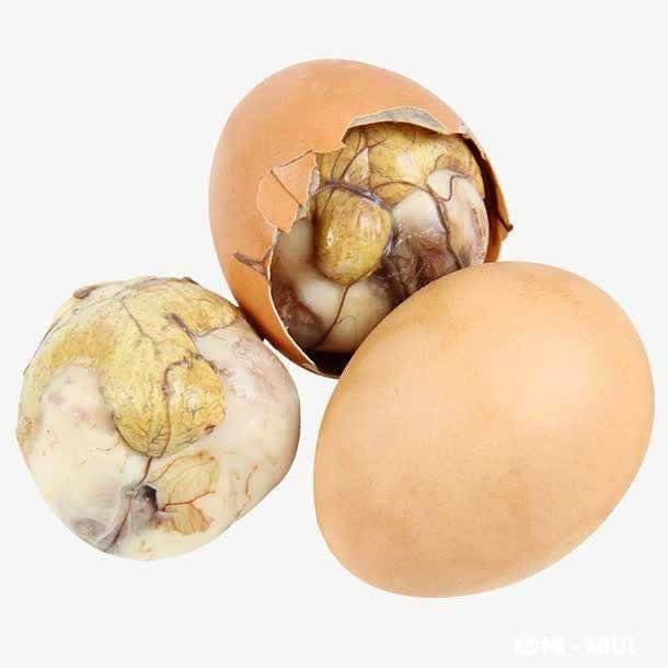 活珠子算野味吗为什么网上能搜到吃活珠子的好处