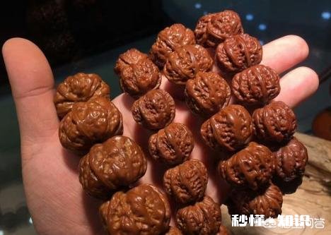 野生小核桃有什么串有什么价值有升值意义吗