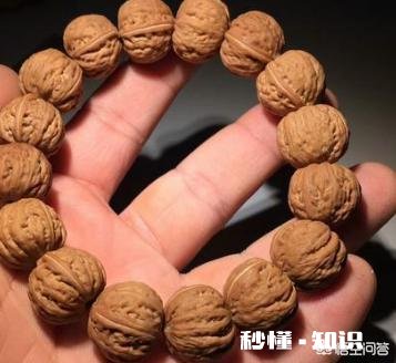 野生小核桃有什么串有什么价值有升值意义吗