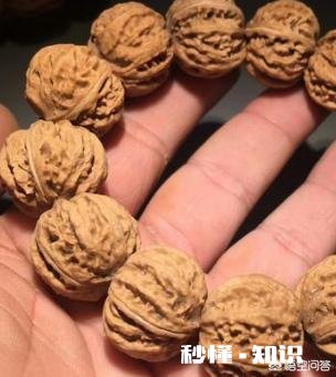 野生小核桃有什么串有什么价值有升值意义吗