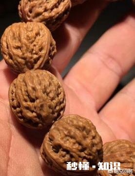 野生小核桃有什么串有什么价值有升值意义吗