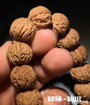 野生小核桃有什么串有什么价值有升值意义吗