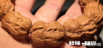 野生小核桃有什么串有什么价值有升值意义吗