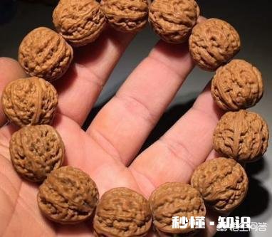 野生小核桃有什么串有什么价值有升值意义吗