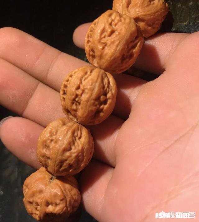 野生小核桃有什么串有什么价值有升值意义吗