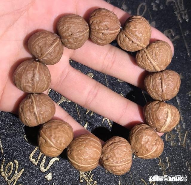 野生小核桃有什么串有什么价值有升值意义吗