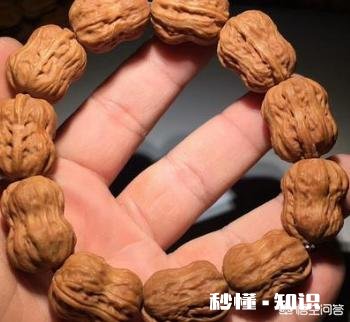 野生小核桃有什么串有什么价值有升值意义吗