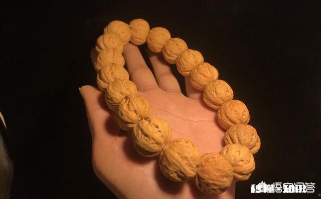 野生小核桃有什么串有什么价值有升值意义吗