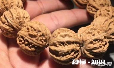 野生小核桃有什么串有什么价值有升值意义吗