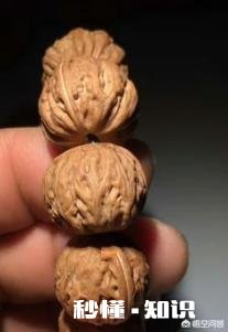 野生小核桃有什么串有什么价值有升值意义吗