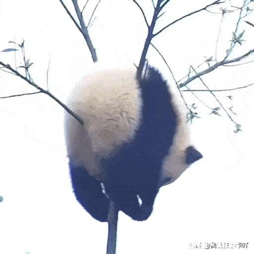 谈恋爱吃饭一定要AA制么谈恋爱对方喜欢的东西要买么