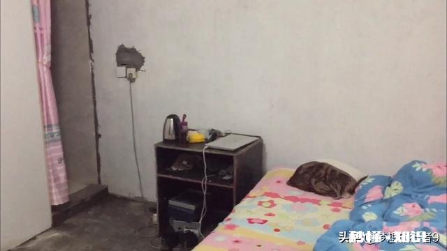 你们在上海租的房子多少钱一个月