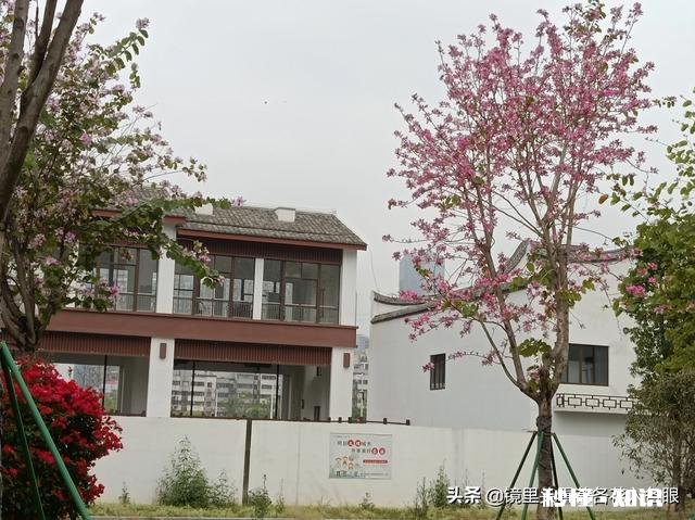 我没有和婆婆相处过，不知道今后自己当了婆婆，能和儿媳处好吗