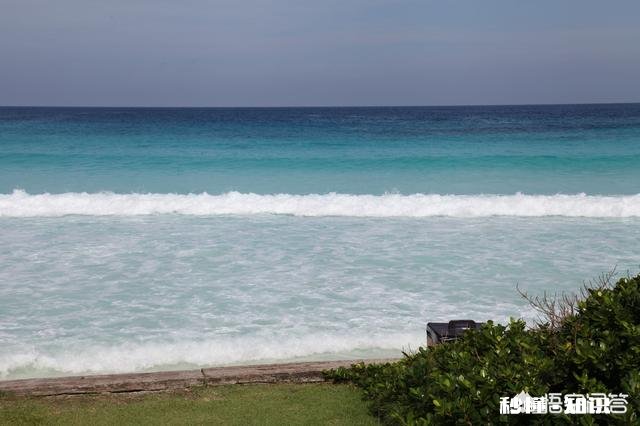 12月中旬去泰国普吉岛，附近岛屿水质最好、适合浮潜的岛有什么值得推荐
