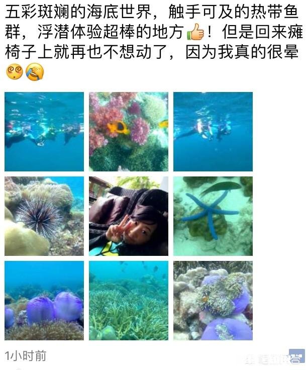 12月中旬去泰国普吉岛，附近岛屿水质最好、适合浮潜的岛有什么值得推荐