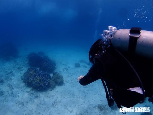 12月中旬去泰国普吉岛，附近岛屿水质最好、适合浮潜的岛有什么值得推荐