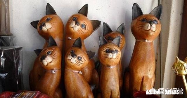 在泰国100块人民币能买什么