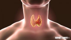 甲状腺功能如何评估