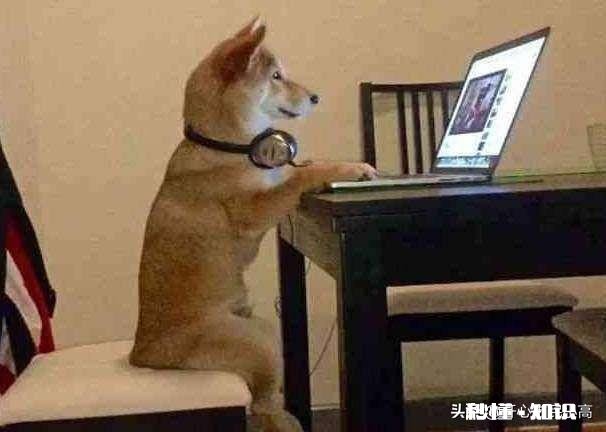 有些人看四五十集的电视剧，老是喜欢先看最后一集，你怎么看