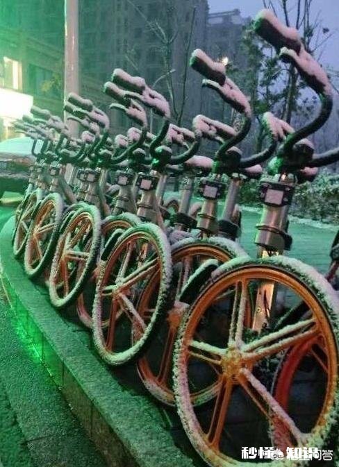 摩拜和ofo下一步会是怎样的一个发展趋势