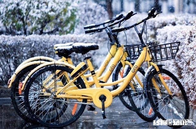 摩拜和ofo下一步会是怎样的一个发展趋势