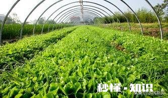 种植蔬菜的软件有哪些