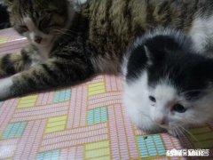 以你目前的经济状况，能让你维持多久的失业期