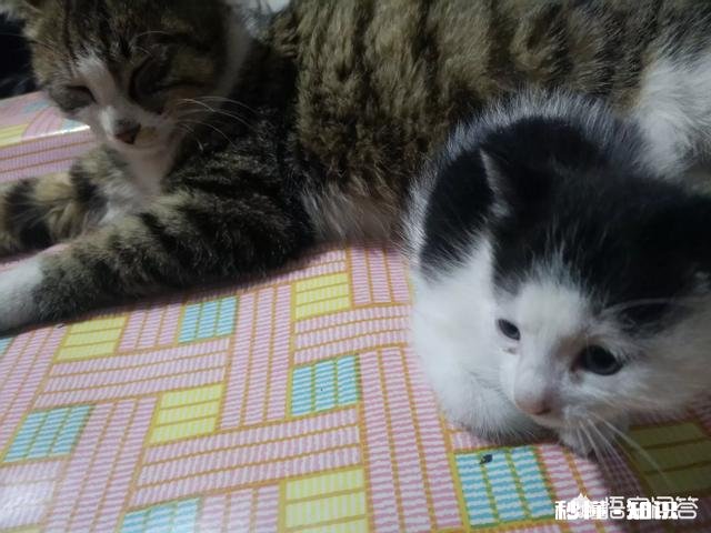 以你目前的经济状况，能让你维持多久的失业期