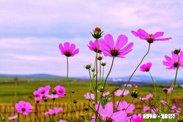 北航北海分校作为广西985的希望，为什么感觉录取分数线很低