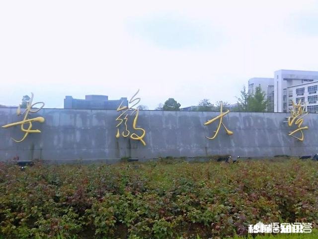 考上211和普通学校有什么差别