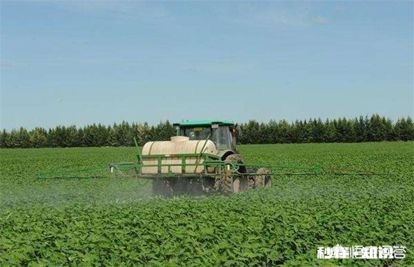 大豆种植，肥料比例应该多少