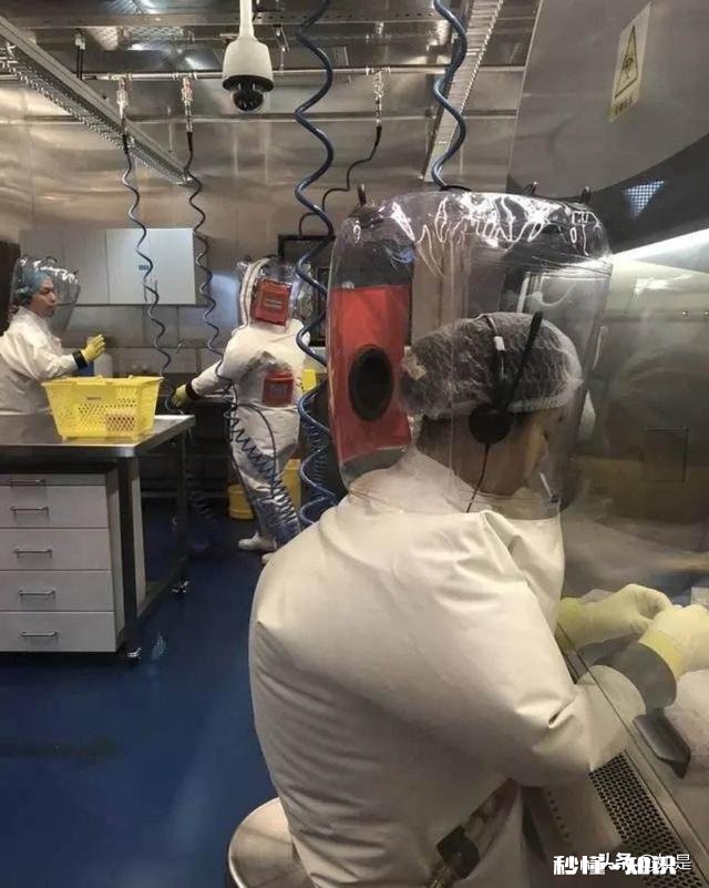 什么是P4实验室