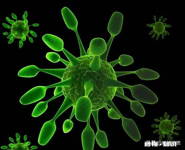 什么是P4实验室