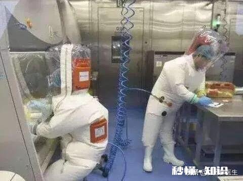 什么是P4实验室