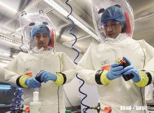 什么是P4实验室