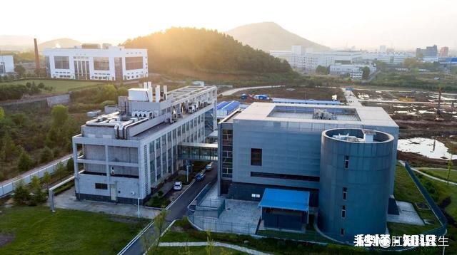 什么是P4实验室