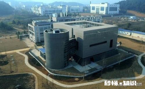 什么是P4实验室