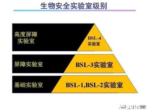 什么是P4实验室