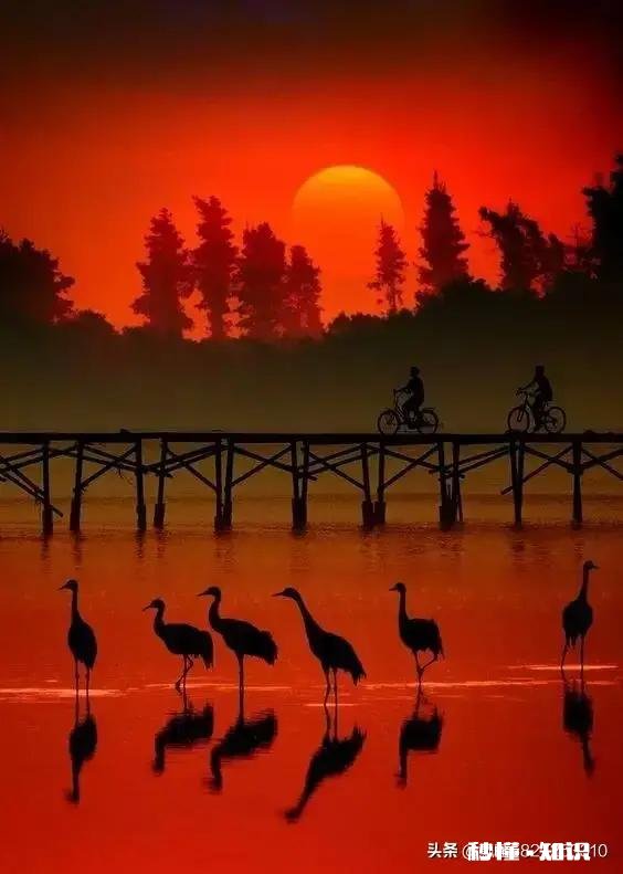 有人说，一个人会在不断的自我否认中不断成长，怎么理解这句话